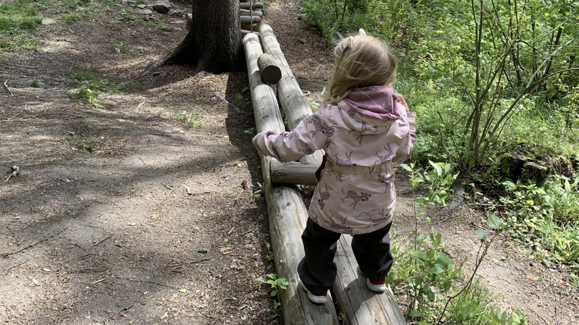 Hamborgstrømskogen
