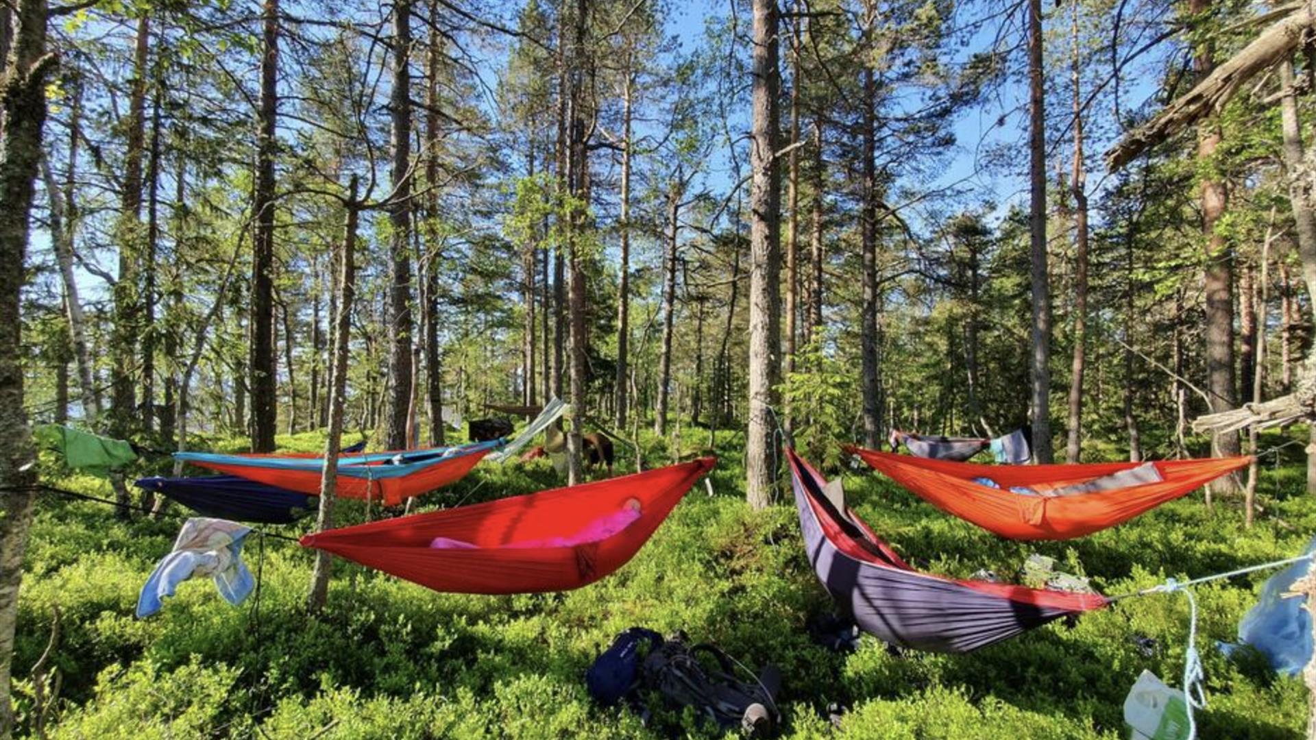 Hengekøye i Drammen