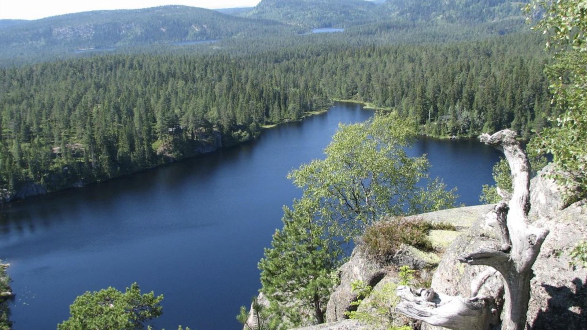 Tverråsutsikten