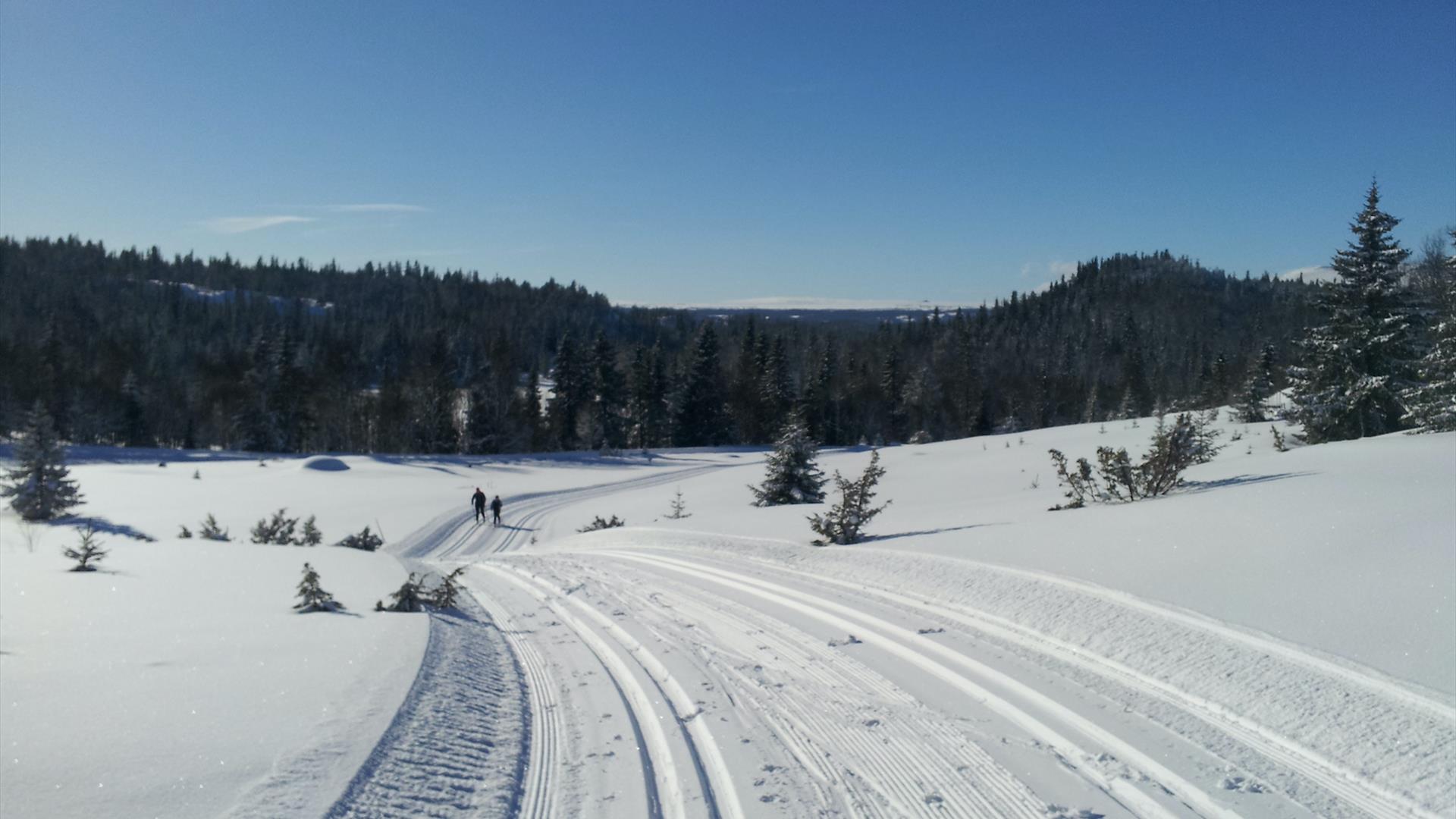 Skiturer Blefjell