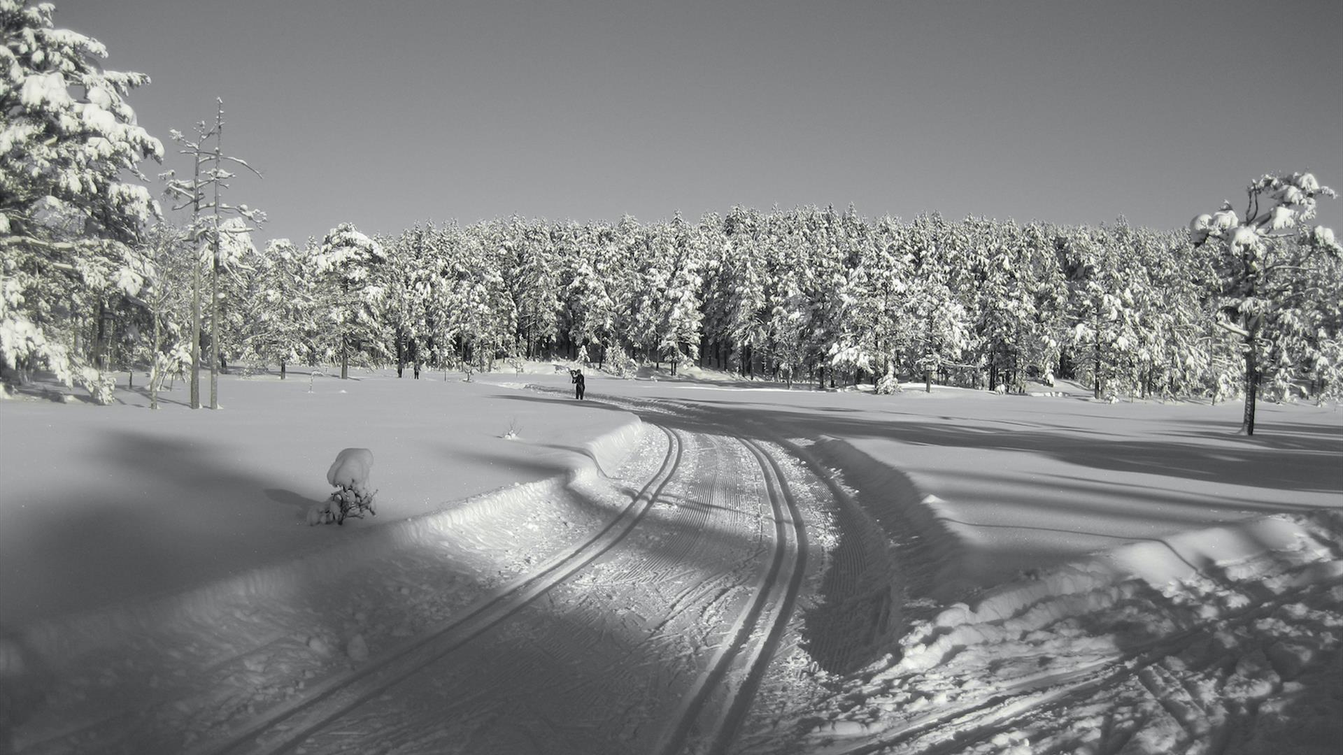 Skitur til Hoensvannshotellet
