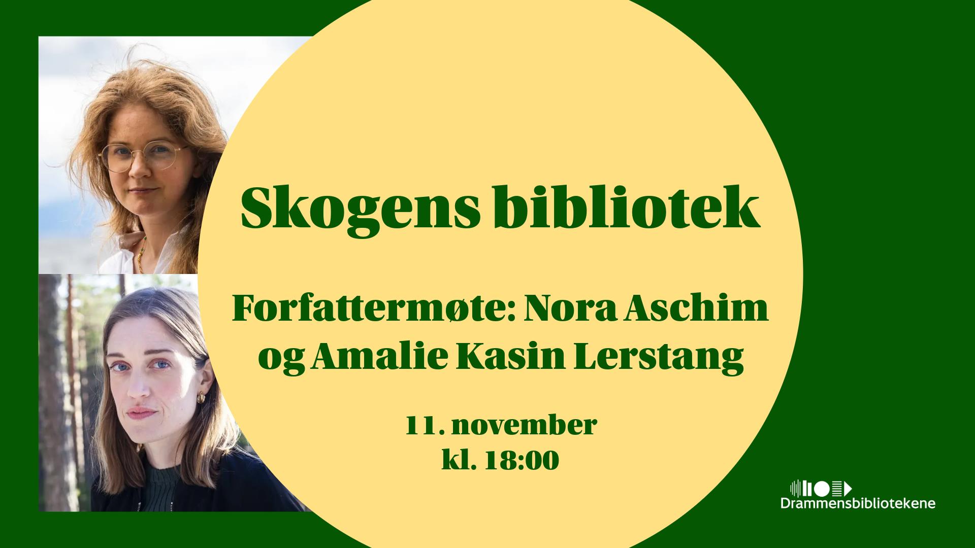 Askeladden Friteater på Drammensbiblioteket søndag 22. nov 2026