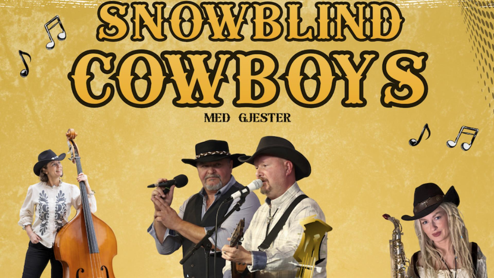 Snowblind Cowboys