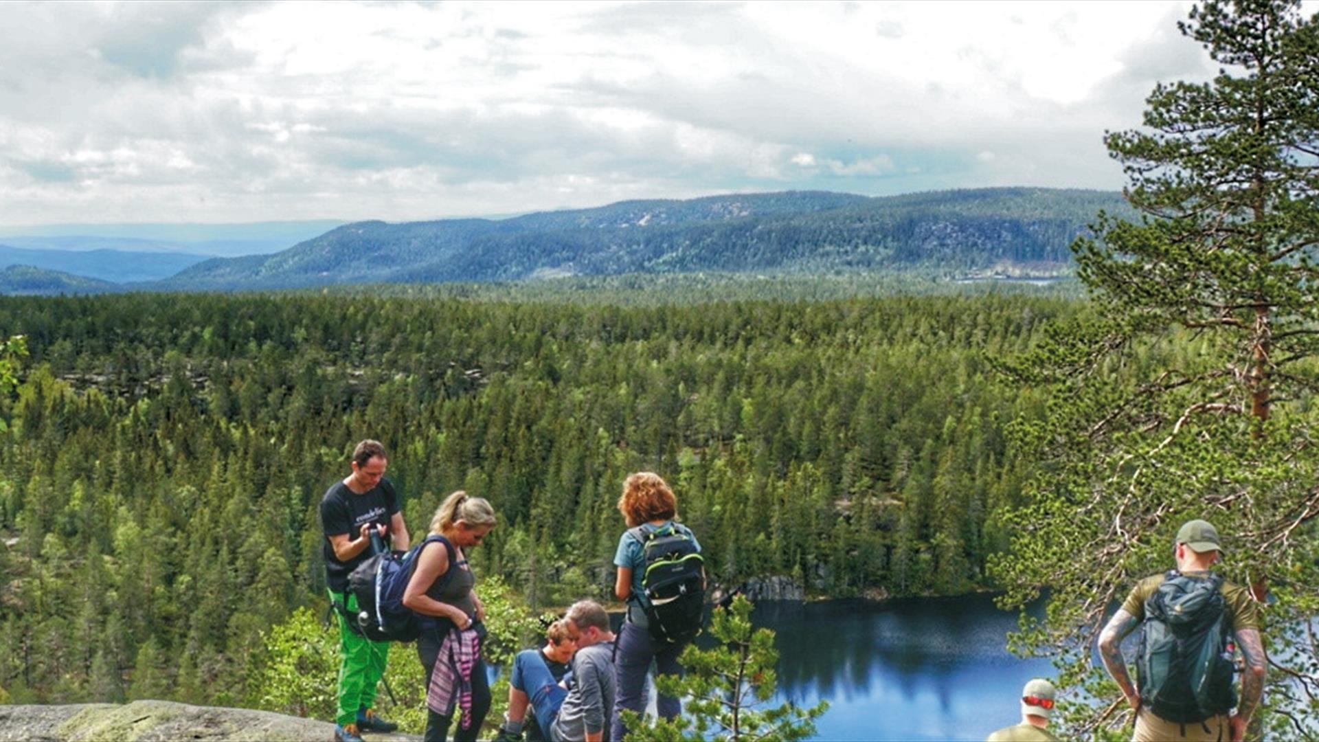 Bildet er fra Tverråsen i Finnemarka