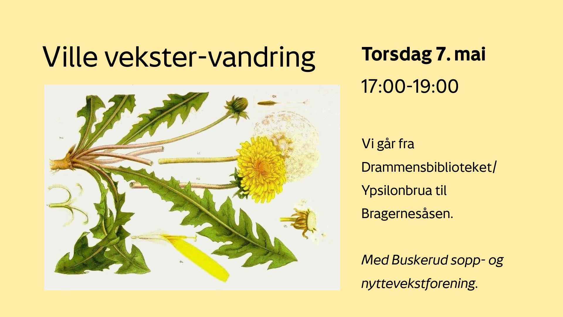 Velkommen til nyttevekstvandring