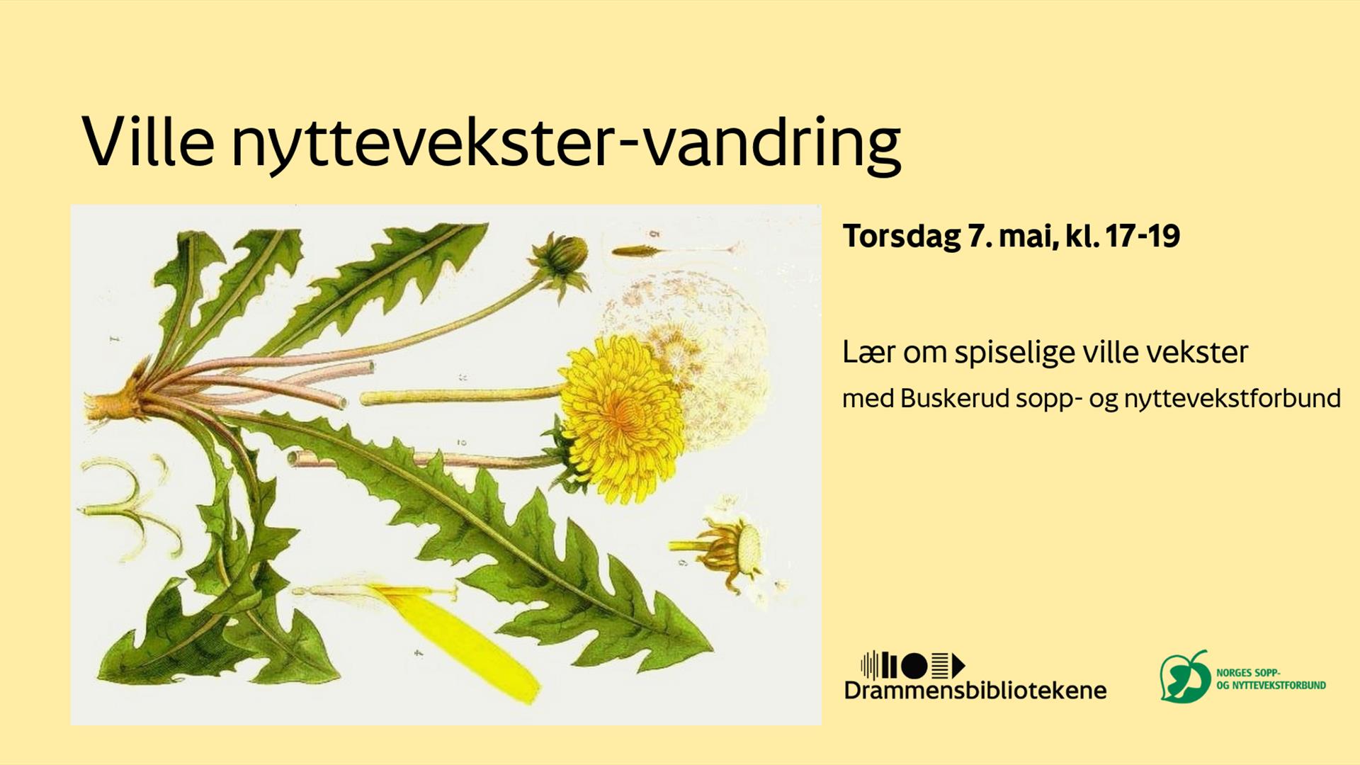 Velkommen til nyttevekstvandring