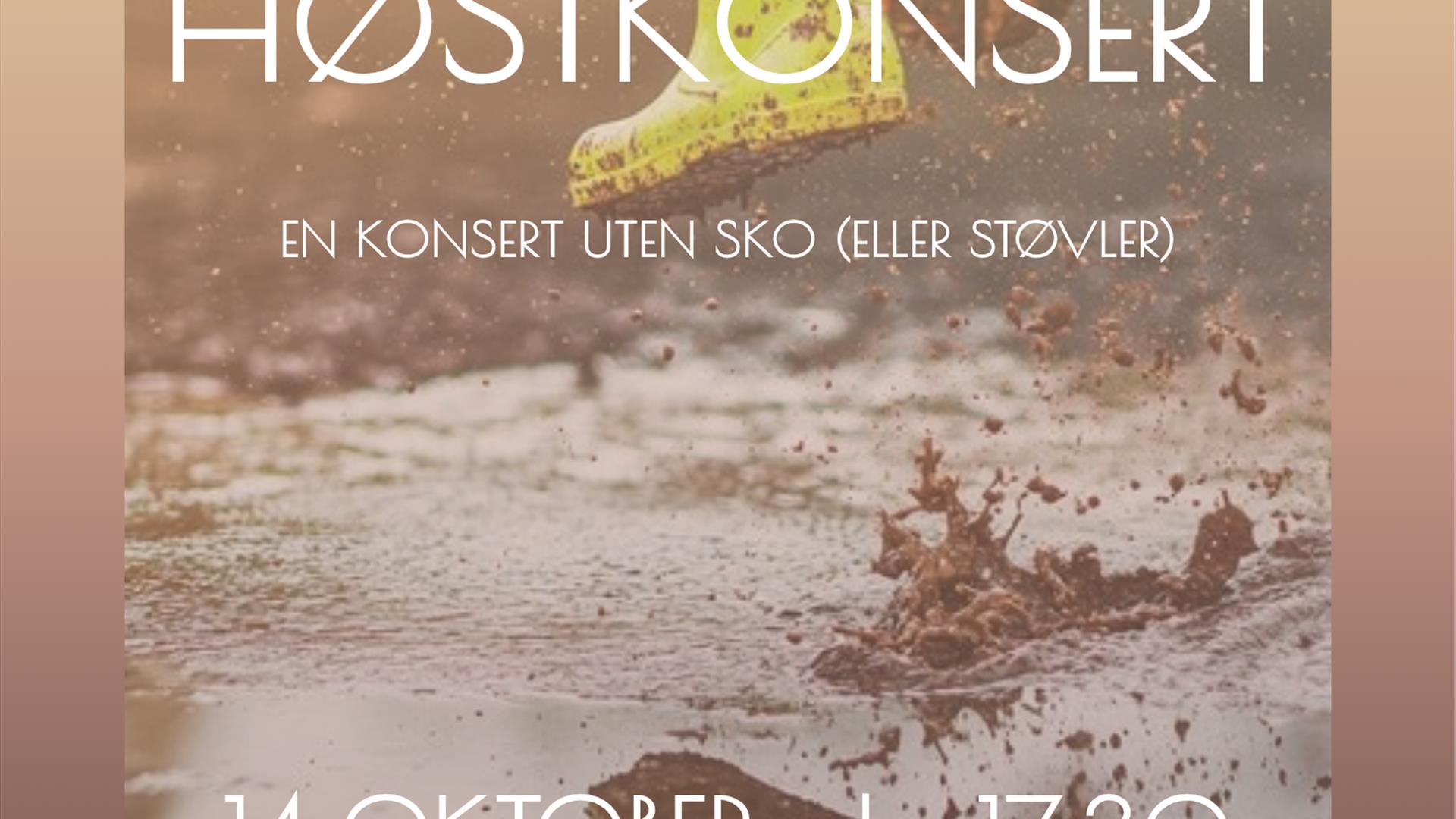 Invitasjon til konsert
