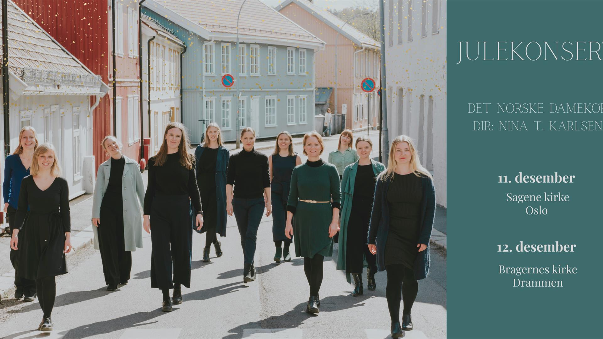 Det norske damekor. Foto: Mari Gjørv