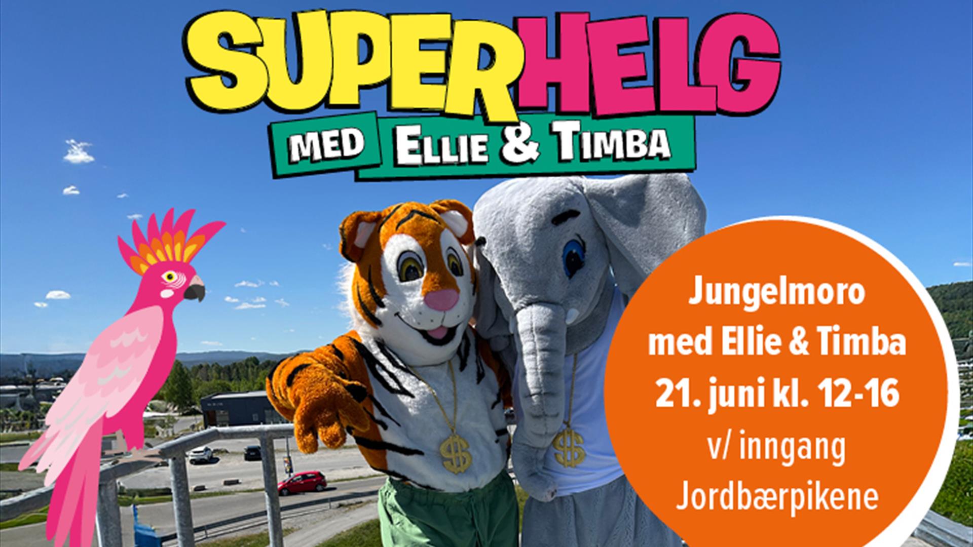 Jungelmoro bilde