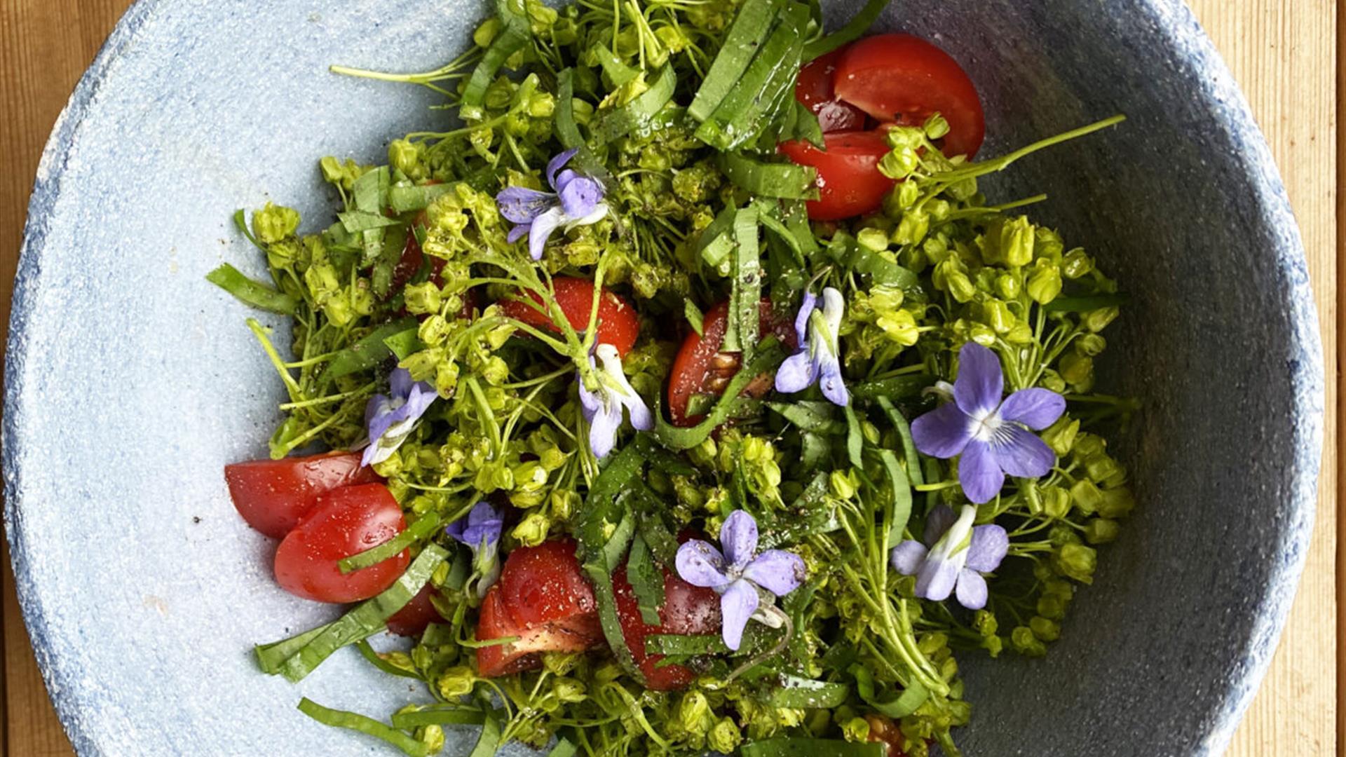 Lønneblomst i salat