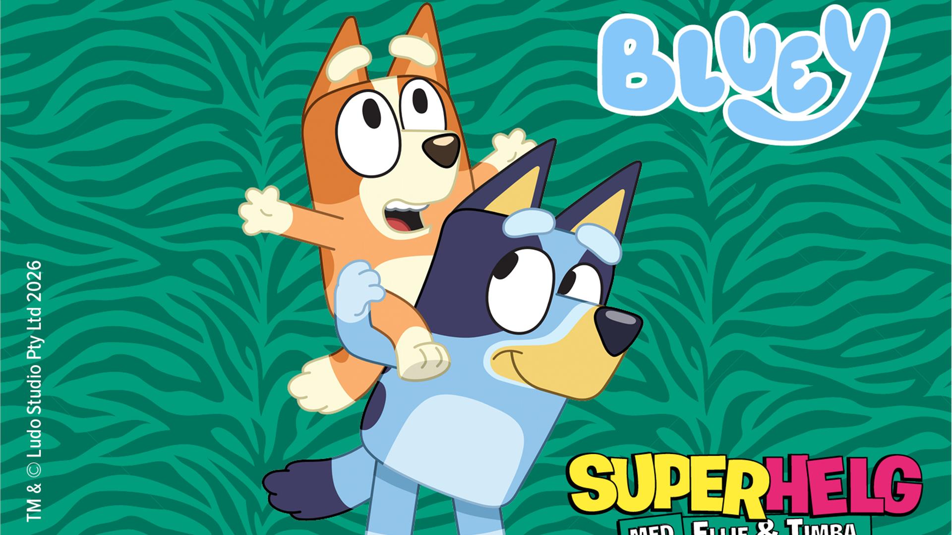 Bluey og Bingo