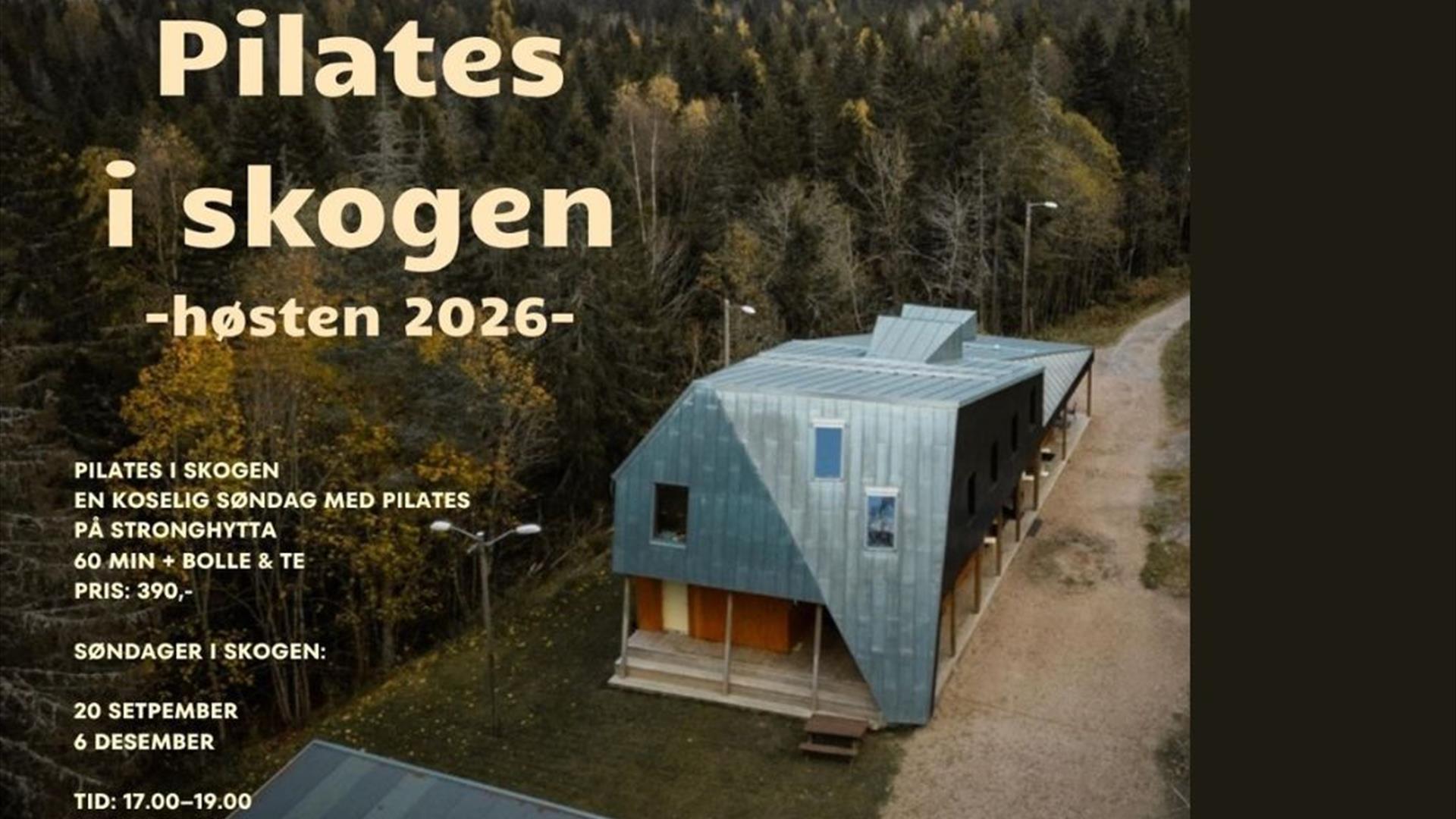 Velkommen til pilates i skogen