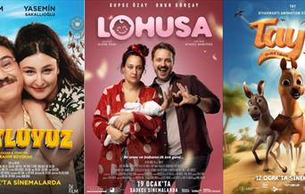 Tyrkisk filmdag