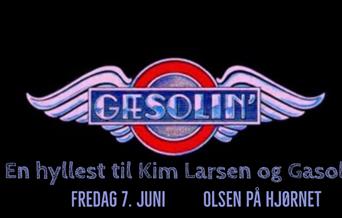 Gæsolin