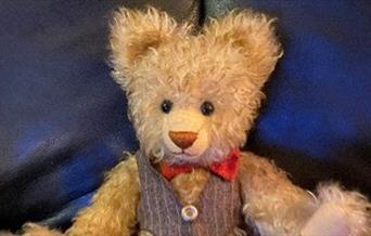 Teddybjørn