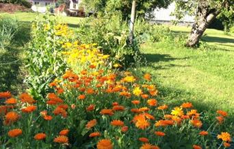 Blomster og plantesalg