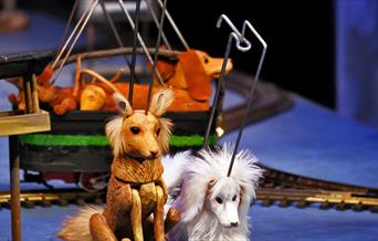 Choo, Choo, Whistle, Woof!