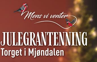 Julegrantenning i Mjøndalen