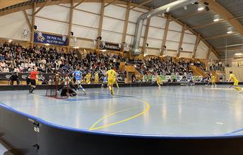 Vi håper på stort fremmøte og fulle tribuner i Mjøndalshallen under NM sluttspillet!