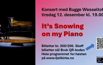 Bugge Wesseltoft i Kulturkirken Fjell