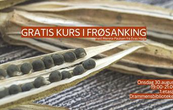 Kurs i frøsanking med Evas hage