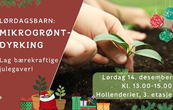 Kurs i mikrogrøntdyrking
