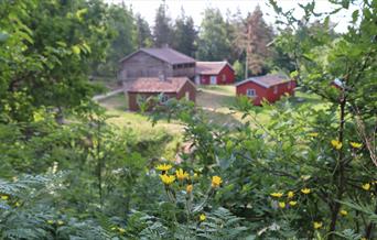 Friluftsmuseet