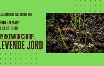 Dyrkeworkshop: Levende jord