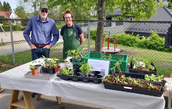 Planteloppemarked på Konnerud