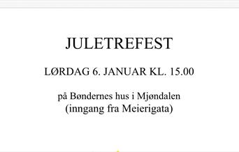 Juletrefest