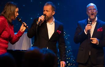 Stjernedryss i advent