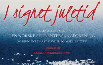 Julekonsert med DnS