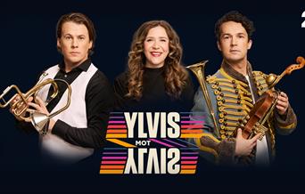 Ylvis mot Ylvis