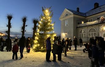 Julegrana tennes på Austad Gård