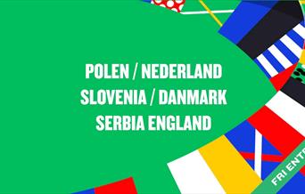 Fotball_EM