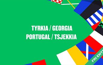 Fotball-em