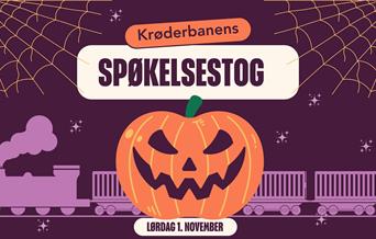 Spøkelsestog på Krøderbanen