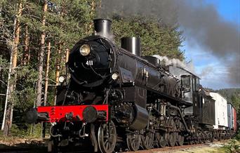 Damplokomotiv 411 i aksjon på Krøderbanen