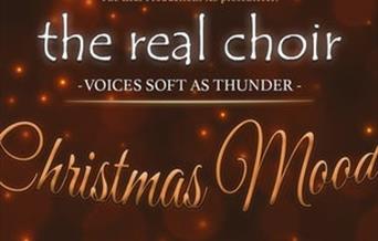 The Real Choir - Lite og stort