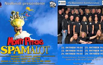 Plakat - Nedbrutt Teater - Spamalot