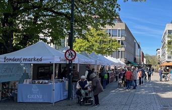 Bondens Marked i sol