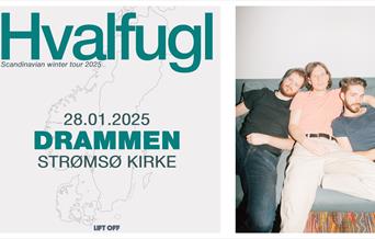 Hvalfugl kommer til Drammen.