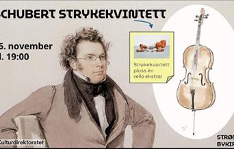 Schubert Strykekvintett