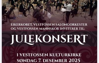 Julekonsert