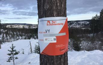 Et vinterlig turmål i Konnerudmarka