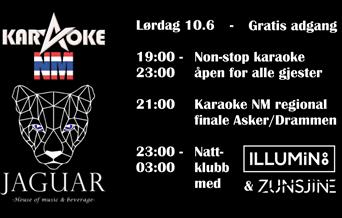 Karaoke NM regional finale