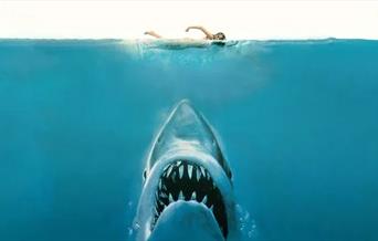 Jaws