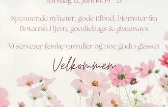 Bilde 1