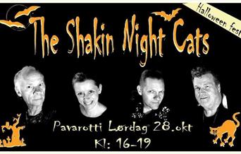 Shakin Night Cats
