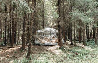 Glamping I Lier